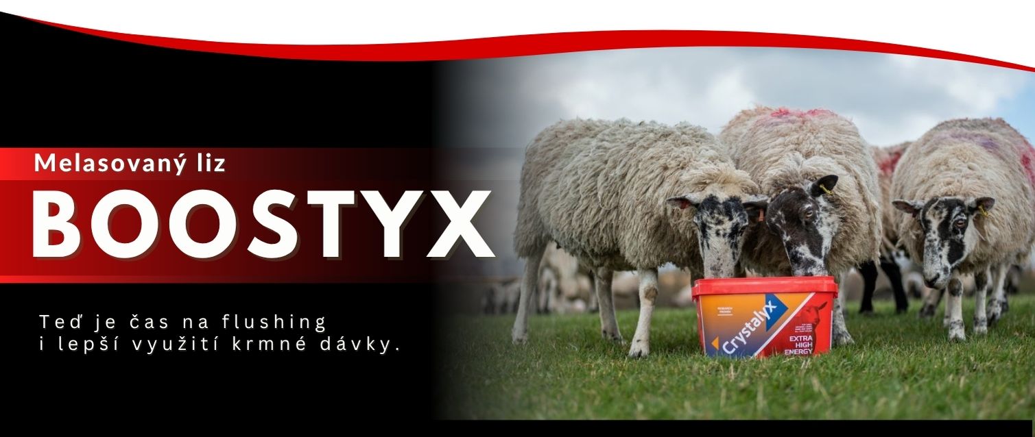 Boostyx