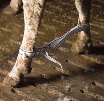 Pouta proti kopání krav - textilní nastavitelná
