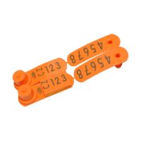 Elektronická ušní známka Q-flex pásková E-MINI oranžová s potiskem