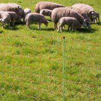 Vodivá síť pro ovce JUMBO, výška 90cm, délka 50m, 2hroty