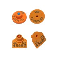 EID čip pro ovce- E-disc25 FDX-B + polygonální známka malá s potiskem, oranžová U+K