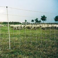 Síť na elektrické ohradníky pro ovce, 50m, 90cm, Turbo