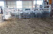 Stájový panel 7-řadý, pro ovce/kozy/telata, 4-5m