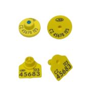 EID čip pro ovce- E-disc25 FDX-B + polygonální známka malá s potiskem, žlutá U+K